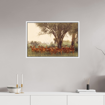 30 x 20″, L+XL White Floater Frame The Field Feels