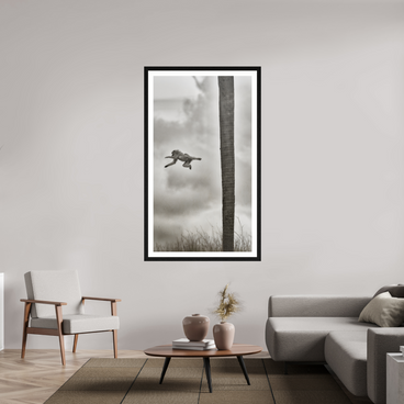 36 x 64″, Exhibition Black Frame + Border Beyond The Branch