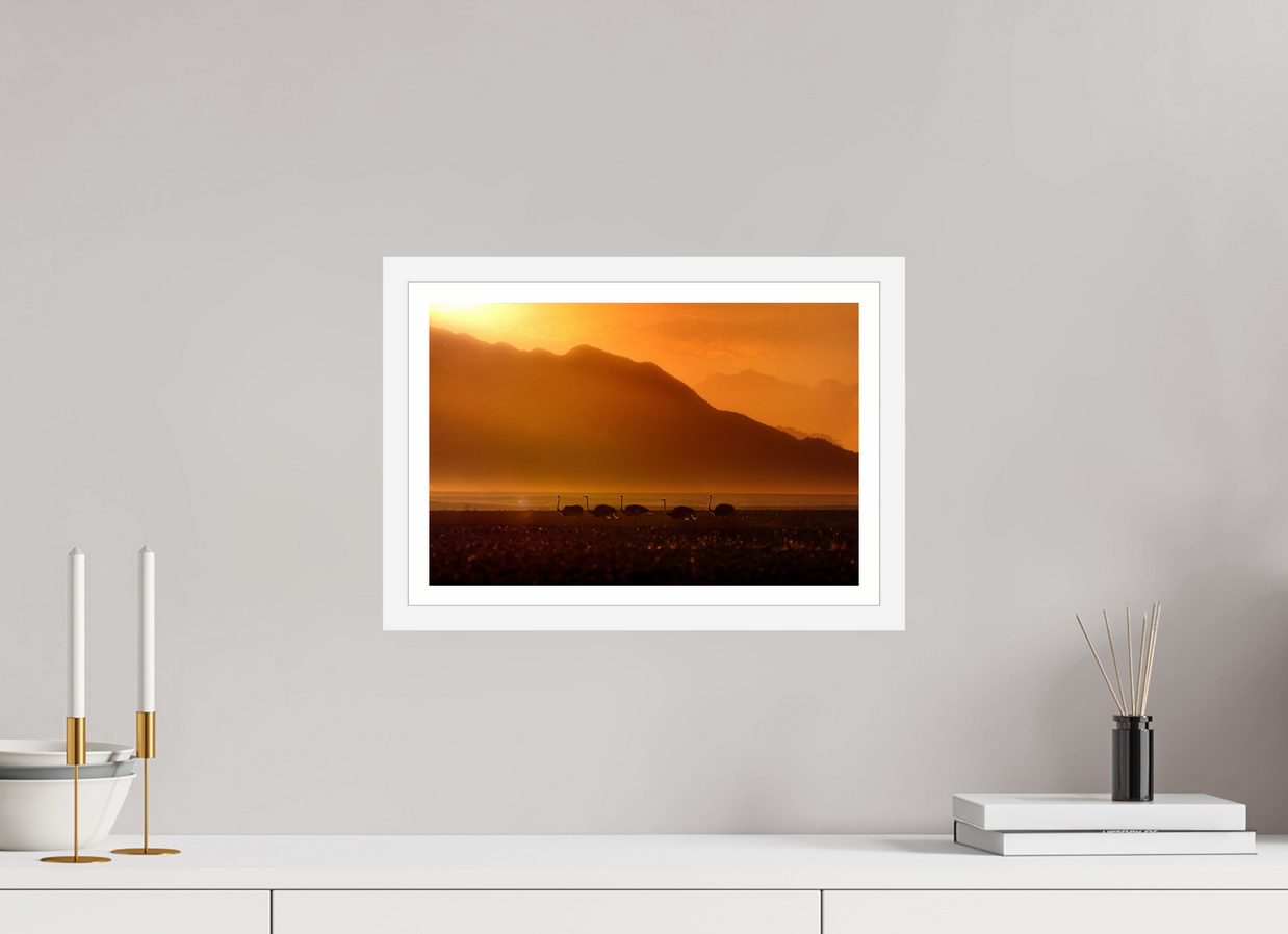 15 x 10″, S+M White Frame + Border PROCESSION OF LIGHT