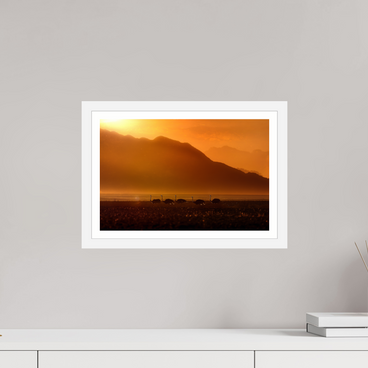 15 x 10″, S+M White Frame + Border PROCESSION OF LIGHT