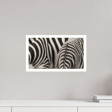 16 x 9″, M Print NOT THE SAME