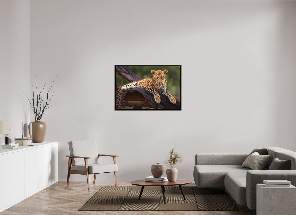 45 x 30″, L+XL Black Floater Frame Before Knowing