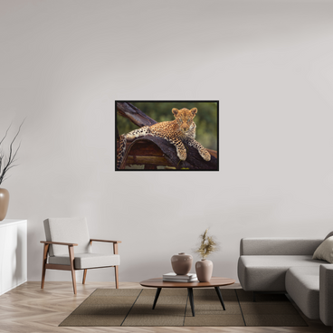 45 x 30″, L+XL Black Floater Frame Before Knowing