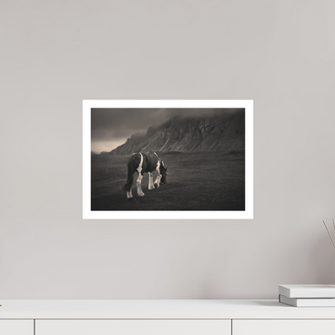 15 x 10″, M Print Unbothered