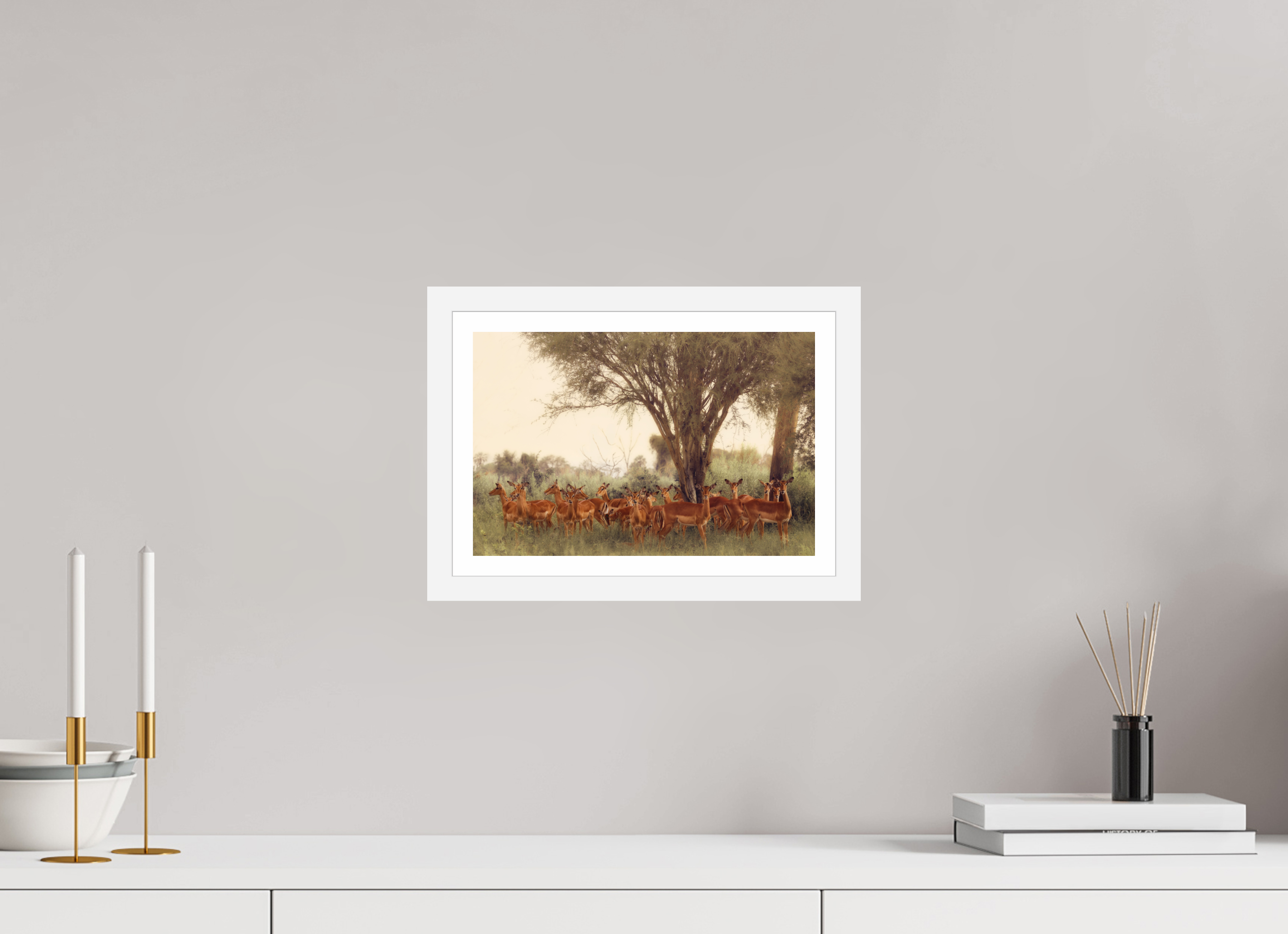 12 x 8″, S+M White Frame + Border THE FIELD FEELS