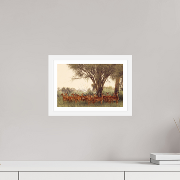 12 x 8″, S+M White Frame + Border THE FIELD FEELS