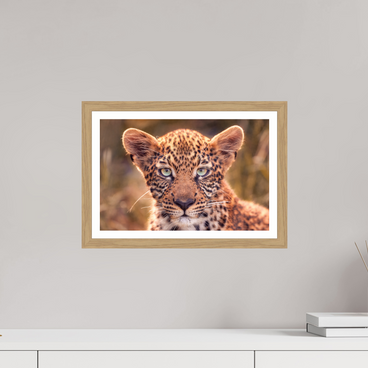 15 x 10″, S+M Oak Frame + Border SEEN