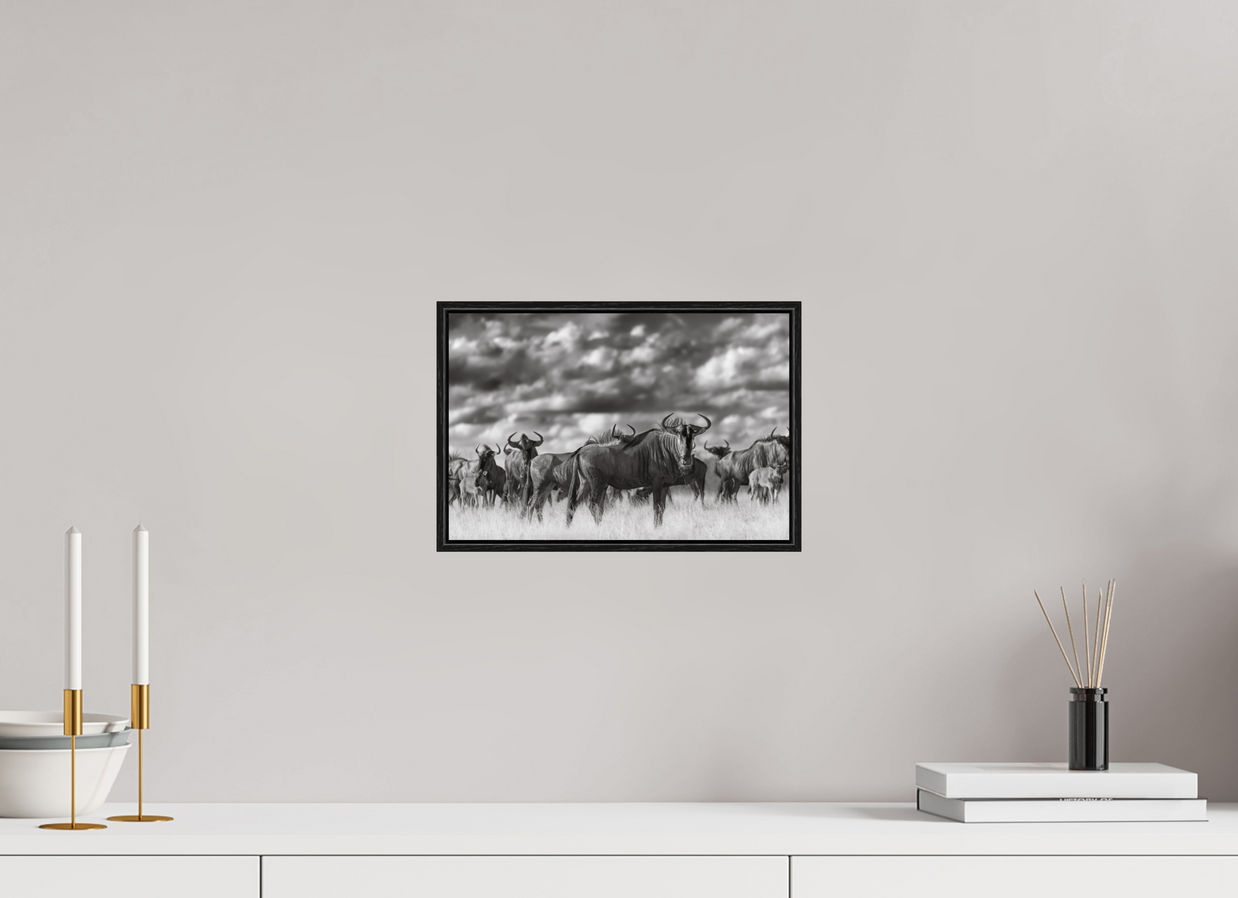 12 x 8″, S+M Black Floater Frame Myself in the Many