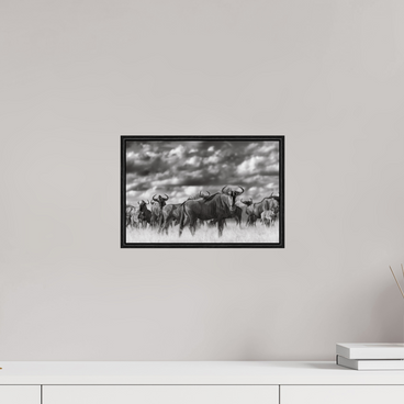 12 x 8″, S+M Black Floater Frame Myself in the Many