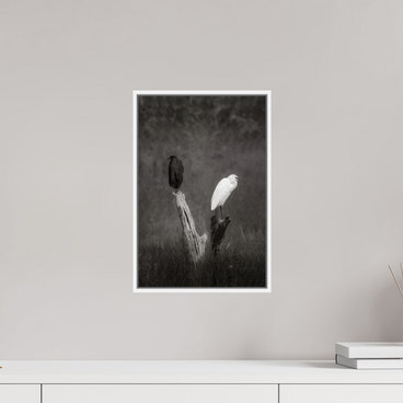 10 x 15″, S+M White Floater Frame TWO TRUTHS