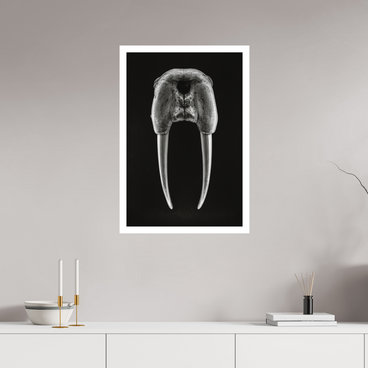 20 x 30″, L Print DENTAL PLAN