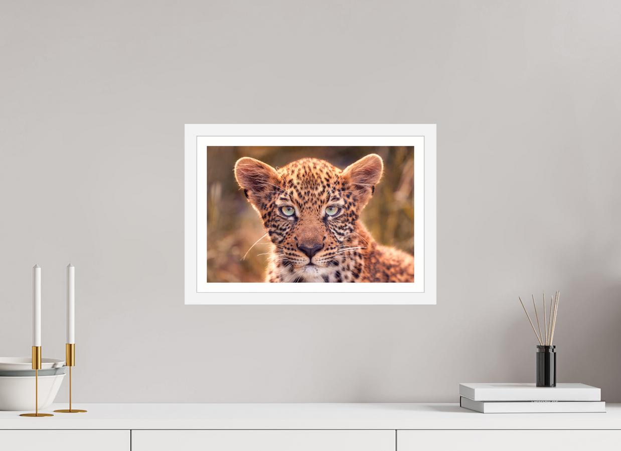 15 x 10″, S+M White Frame + Border SEEN