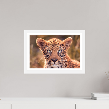 15 x 10″, S+M White Frame + Border SEEN