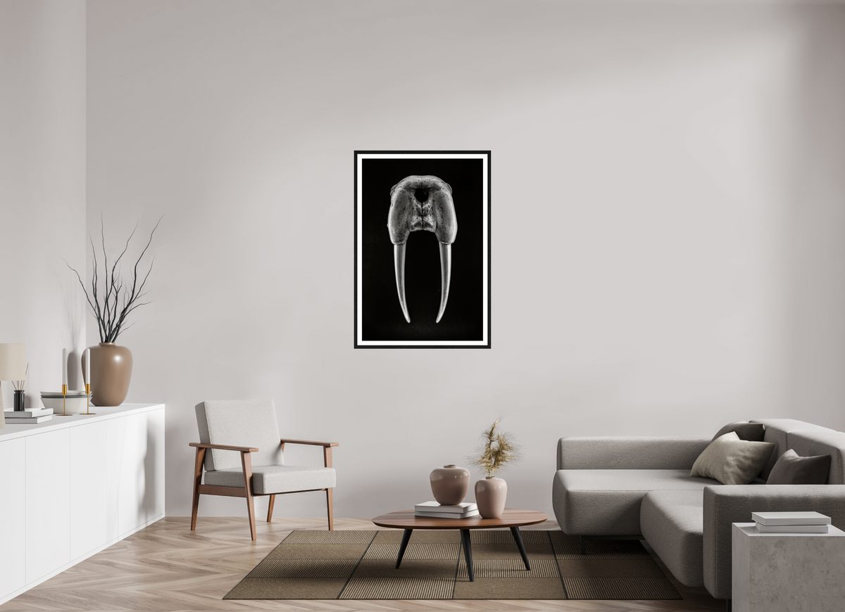 30 x 45″, L+XL Black Frame + Border DENTAL PLAN