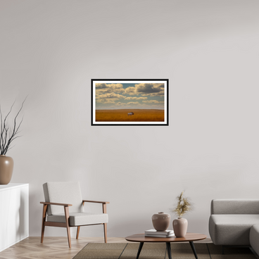 32 x 18″, L+XL Black Frame + Border FREEDOM OF EXPOSURE