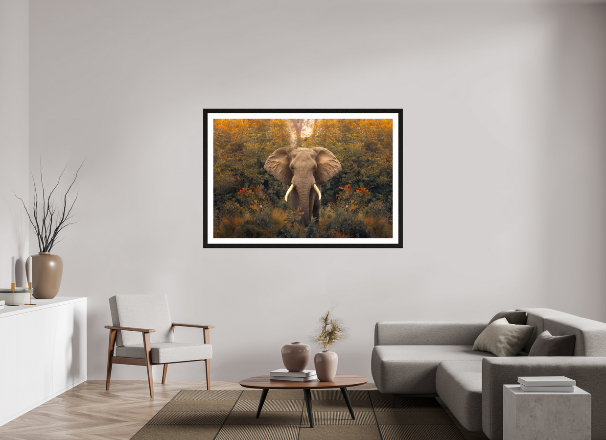 60 x 40″, Exhibition Black Frame + Border REVELATION