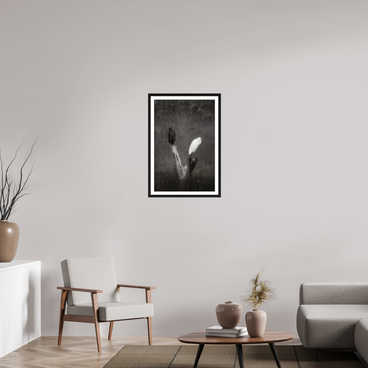 20 x 30″, L+XL Black Frame + Border TWO TRUTHS