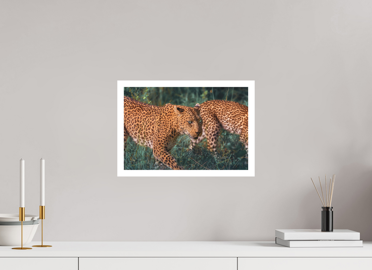 15 x 10″, M Print UNTAMED OPULENCE