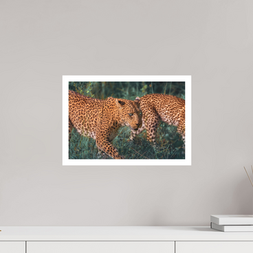 15 x 10″, M Print UNTAMED OPULENCE