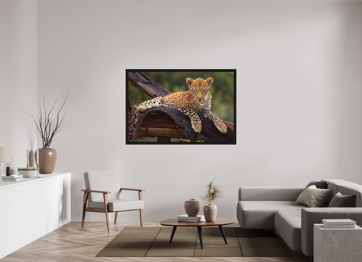 60 x 40″, Exhibition Black Floater Frame BEFORE KNOWING