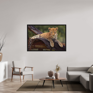 60 x 40″, Exhibition Black Floater Frame BEFORE KNOWING