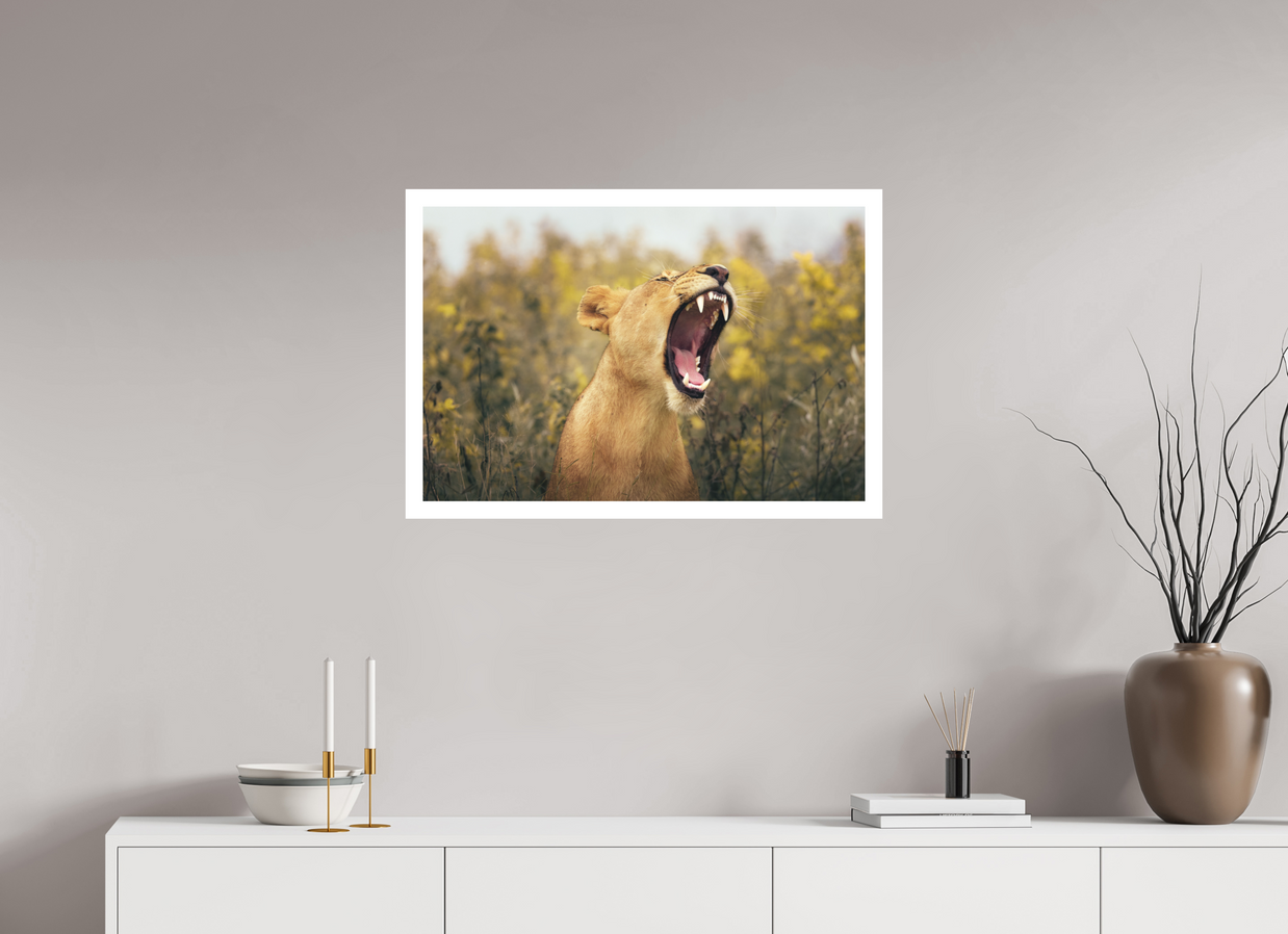 30 x 20″, L Print UNCONTAINED