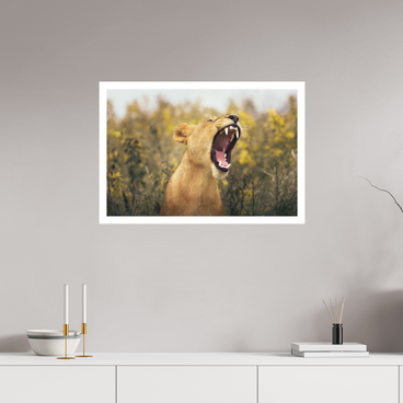 30 x 20″, L Print UNCONTAINED