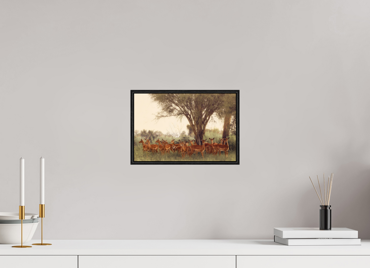 12 x 8″, S+M Black Floater Frame The Field Feels