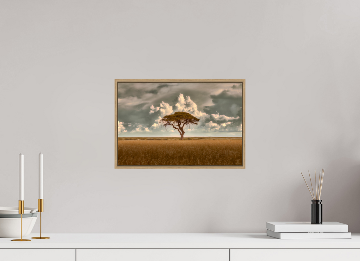 15 x 10″, S+M Oak Floater Frame Structured Chaos