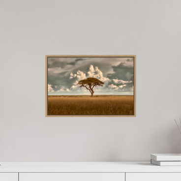 15 x 10″, S+M Oak Floater Frame Structured Chaos