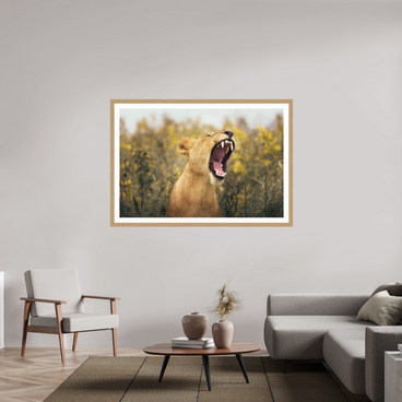 60 x 40″, Exhibition Oak Frame + Border UNCONTAINED