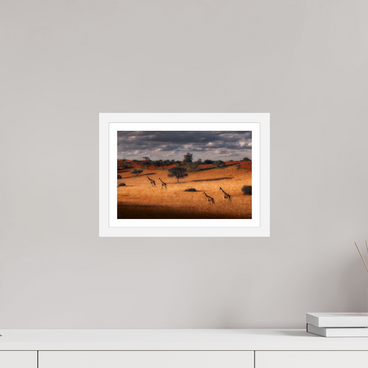 12 x 8″, S+M White Frame + Border SYMPHONY OF SILENCE