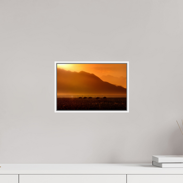 12 x 8″, S+M White Floater Frame Procession of Light