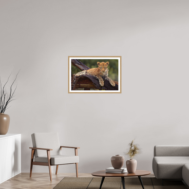 30 x 20″, L+XL Oak Frame + Border BEFORE KNOWING