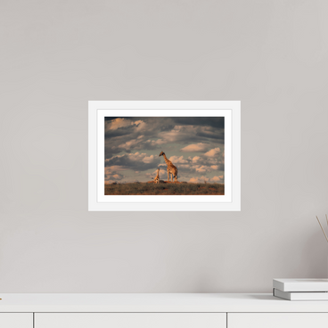 12 x 8″, S+M White Frame + Border LINEAGE
