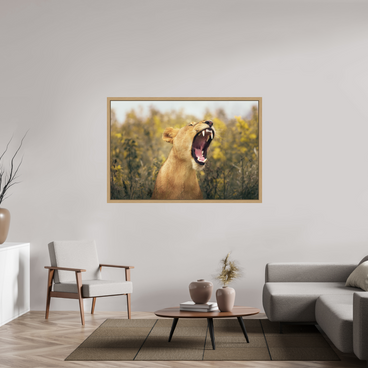 60 x 40″, Exhibition Oak Floater Frame UNCONTAINED