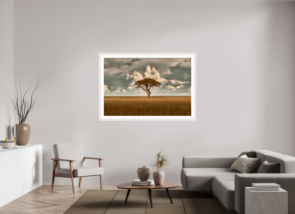 60 x 40″, Exhibition White Maple Frame + Border STRUCTURED CHAOS