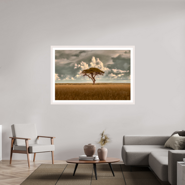 60 x 40″, Exhibition White Maple Frame + Border STRUCTURED CHAOS