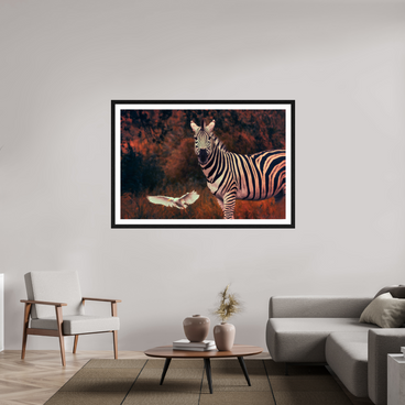 60 x 40″, Exhibition Black Frame + Border PASSING THROUGH