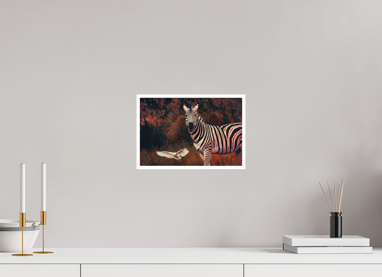 12 x 8″, S Print PASSING THROUGH