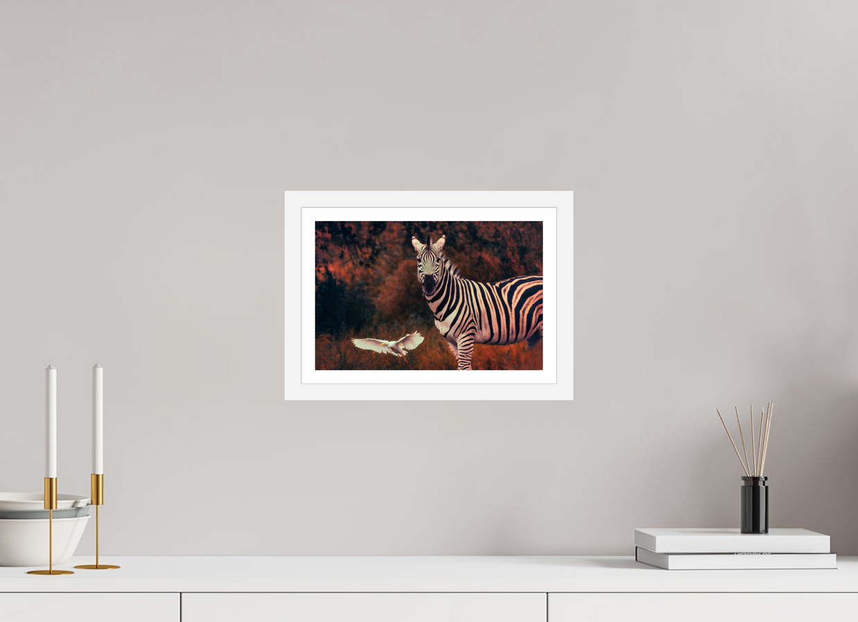 12 x 8″, S+M White Frame + Border PASSING THROUGH