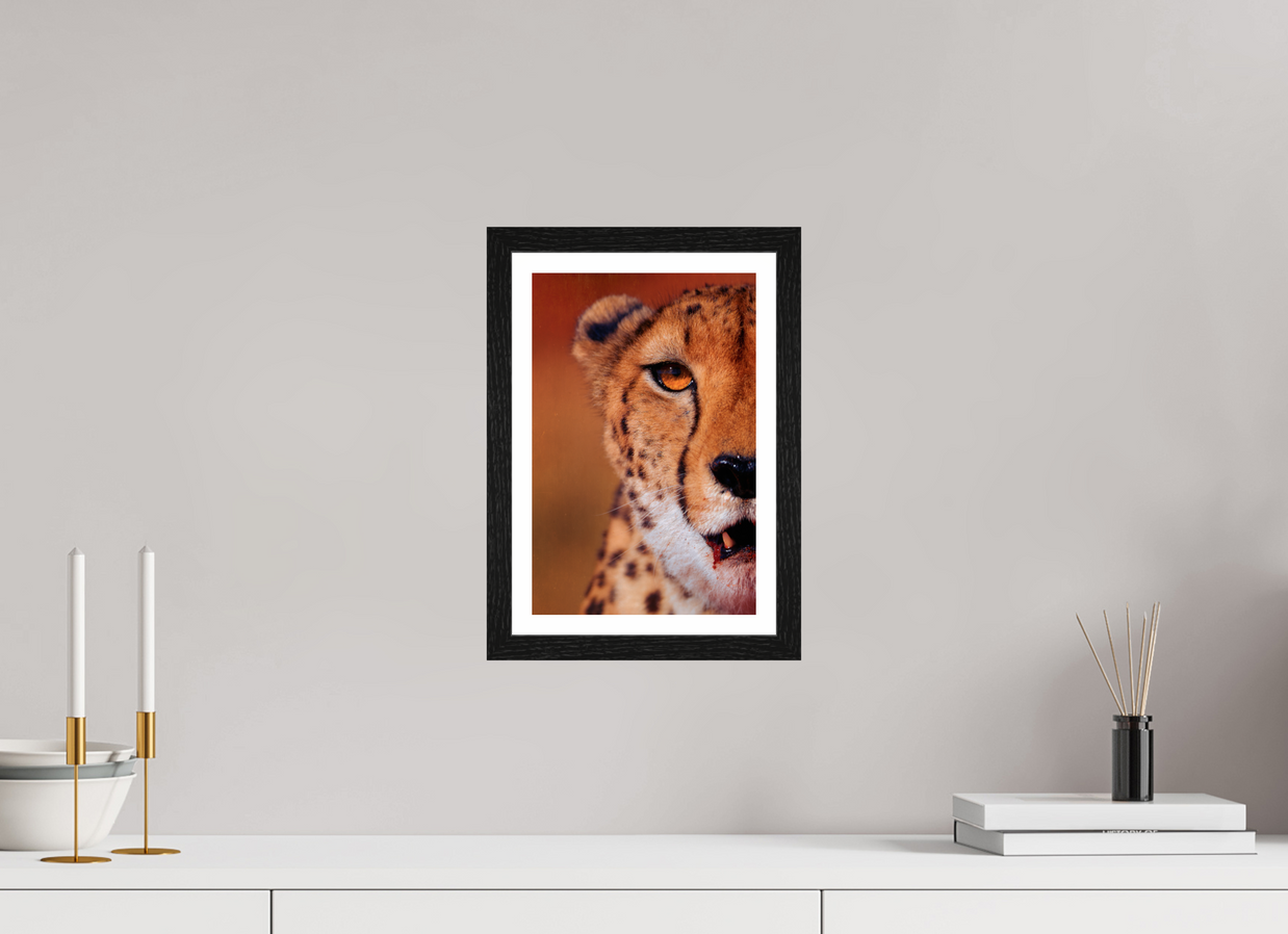 8 x 12″, S+M Black Frame + border AS IT IS