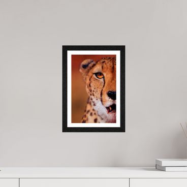 8 x 12″, S+M Black Frame + border AS IT IS