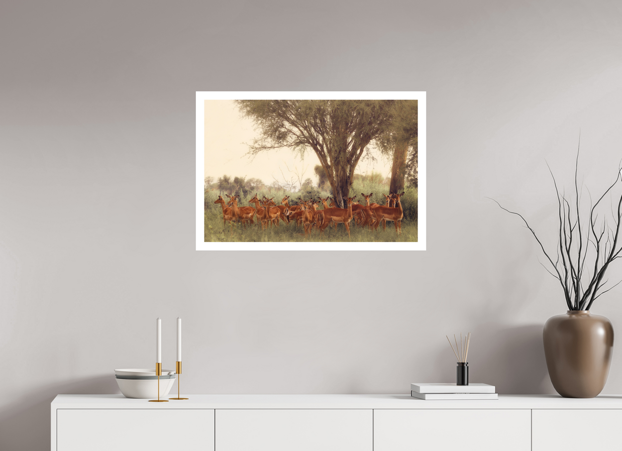 30 x 20″, L Print THE FIELD FEELS