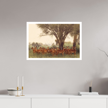 30 x 20″, L Print THE FIELD FEELS