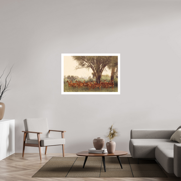 45 x 30″, XL + Exhibition Print THE FIELD FEELS