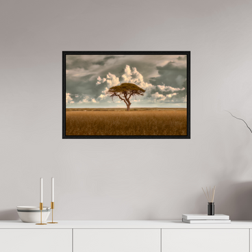 30 x 20″, L+XL Black Floater Frame Structured Chaos
