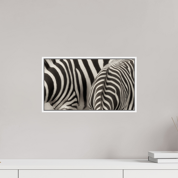 16 x 9″, S+M White Floater Frame Not The Same