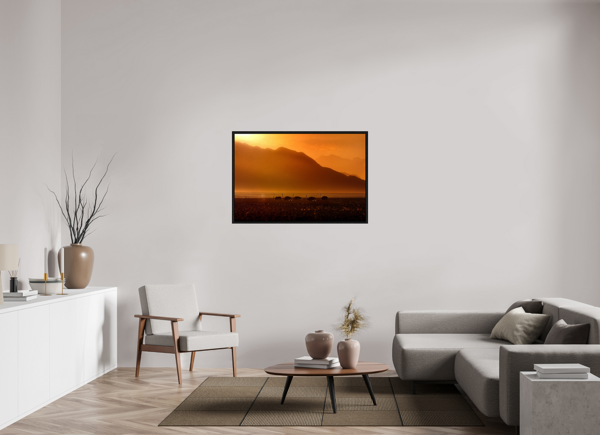 45 x 30″, M L black Floater Procession of Light