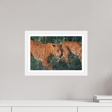 15 x 10″, S+M White Frame + Border UNTAMED OPULENCE
